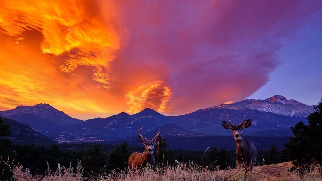 Photo of Others in Estes Park