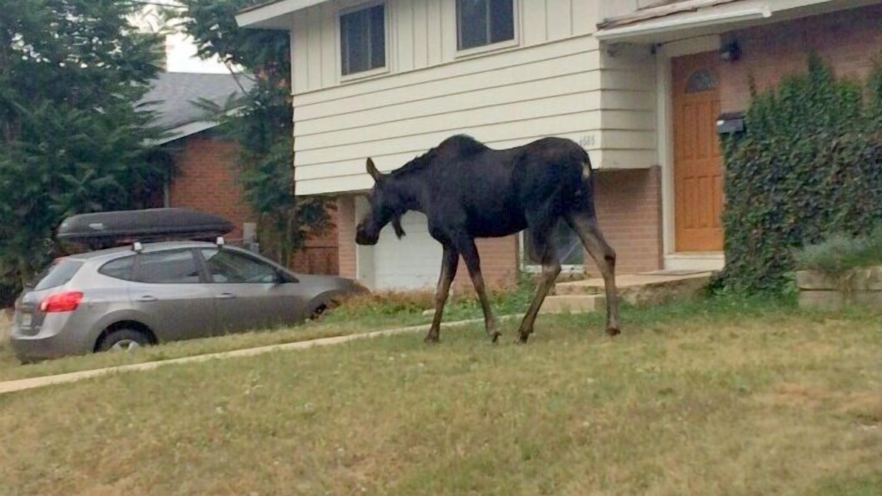 Photo of Outdoor in Martin Acres