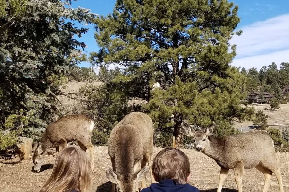 Photo of Others in Evergreen