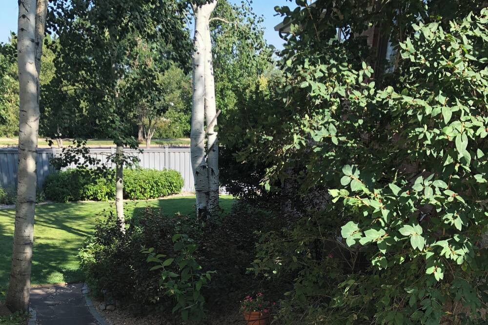 Photo of Outdoor in Lafayette