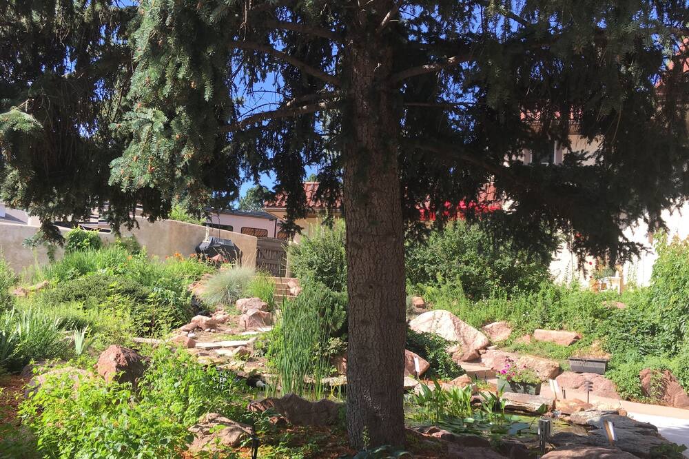 Photo of Outdoor in East Colorado Springs