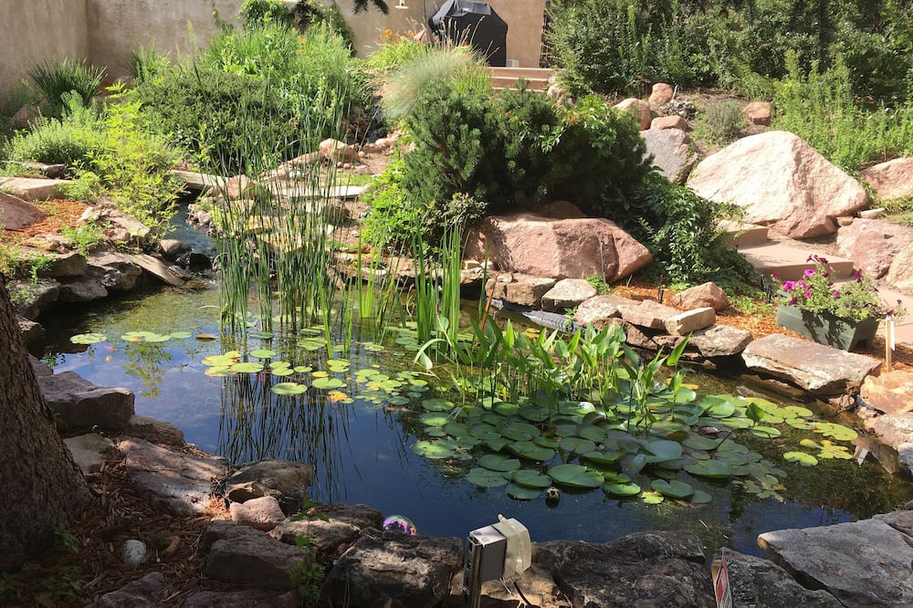 Photo of Outdoor in East Colorado Springs