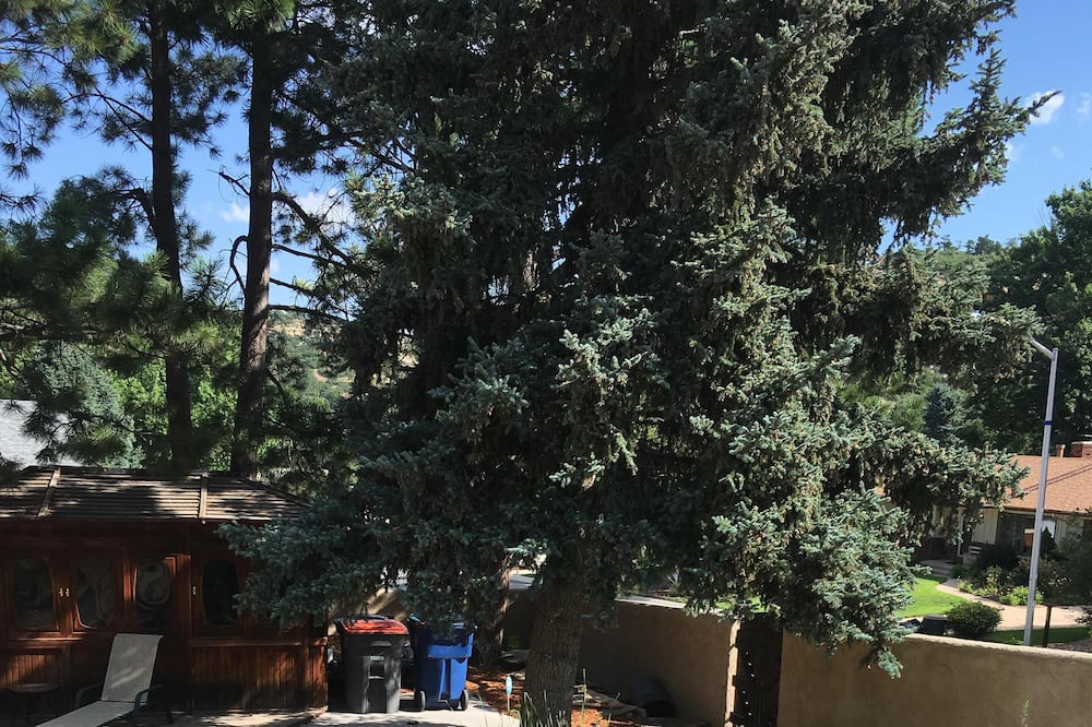 Photo of Outdoor in East Colorado Springs