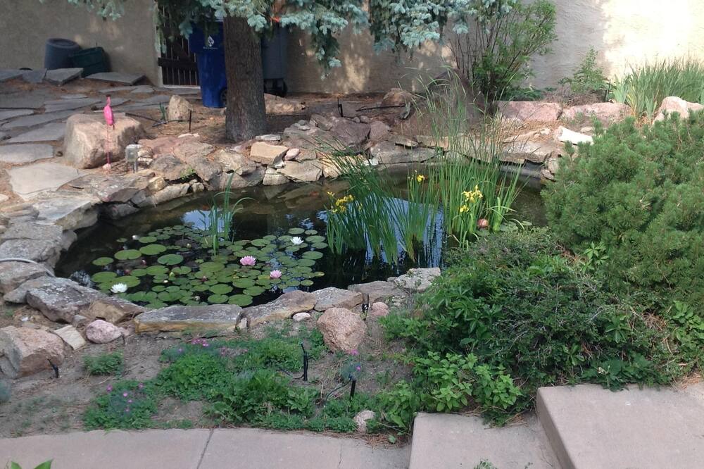 Photo of Others in East Colorado Springs