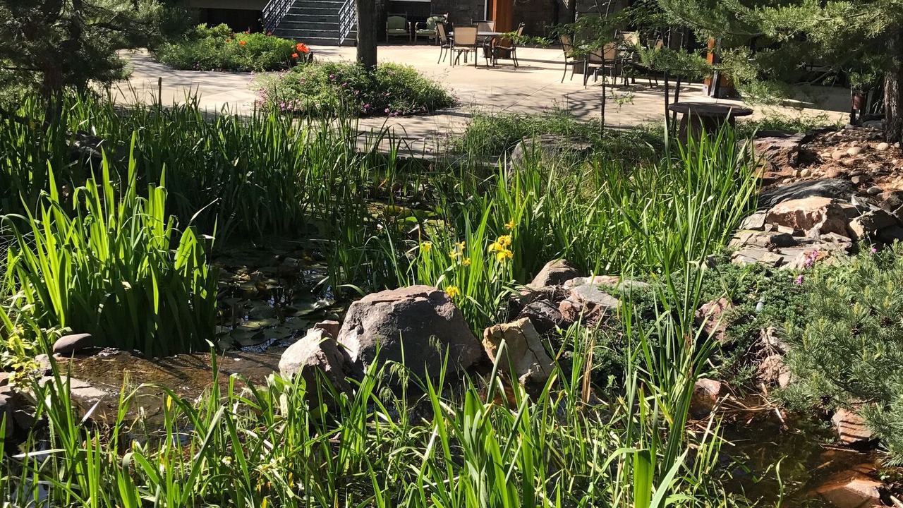Photo of Outdoor in Niwot