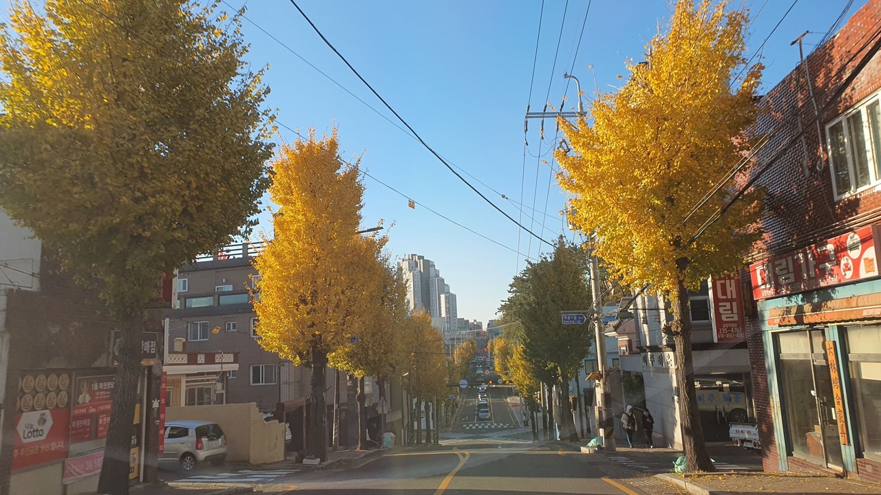Photo of Outdoor in Dong-gu