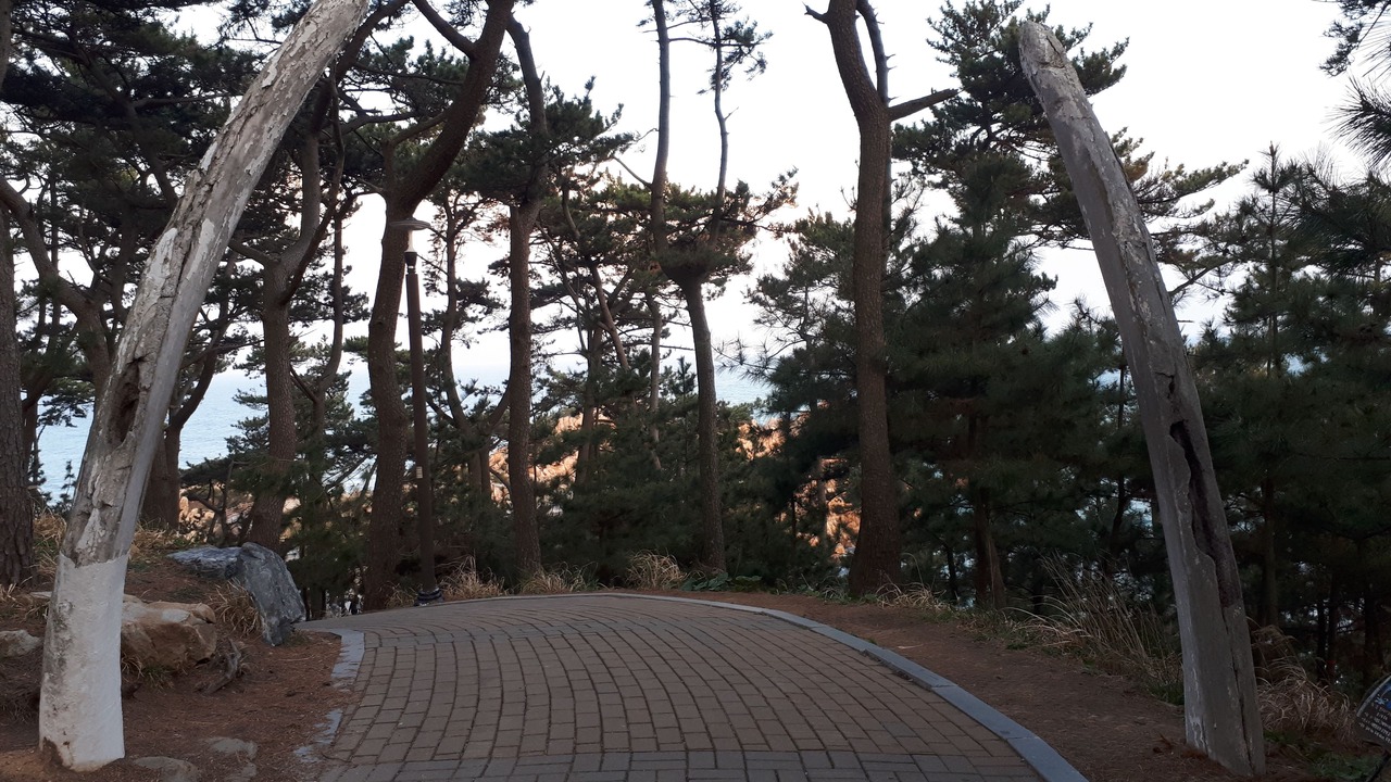 Photo of Buildings in Dong-gu