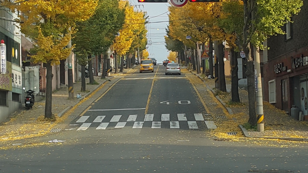 Photo of Outdoor in Dong-gu