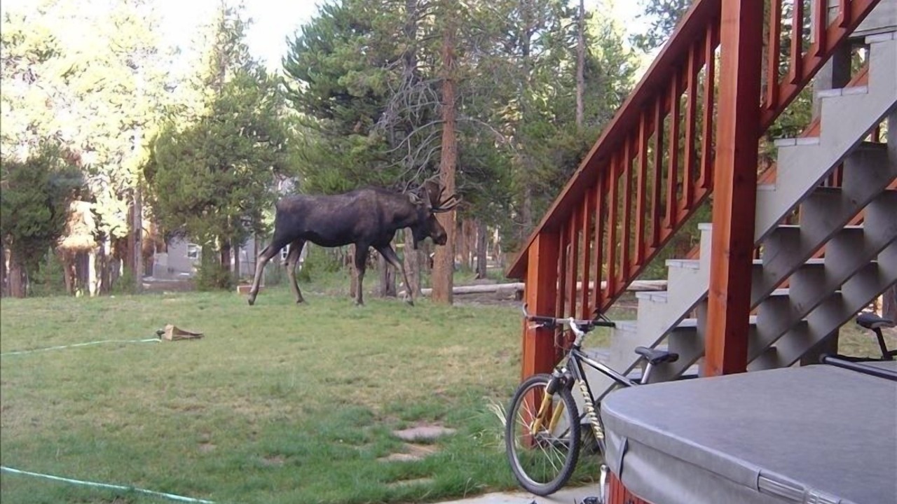 Photo of Outdoor in Fraser