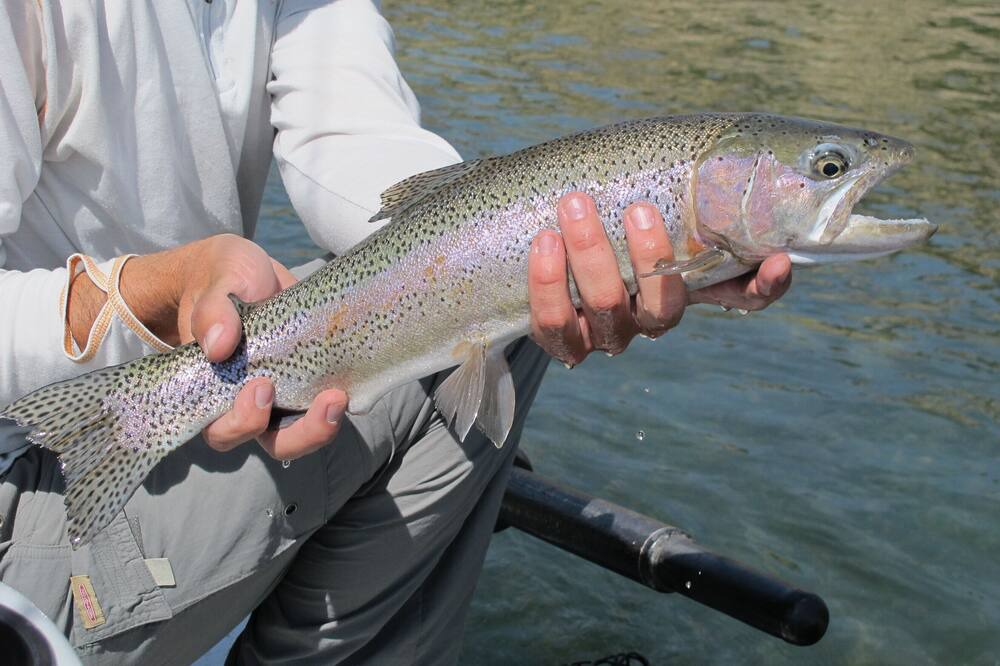 Photo of Others in San Juan River Village