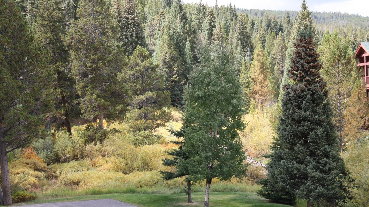 Photo of Others in Copper Mountain