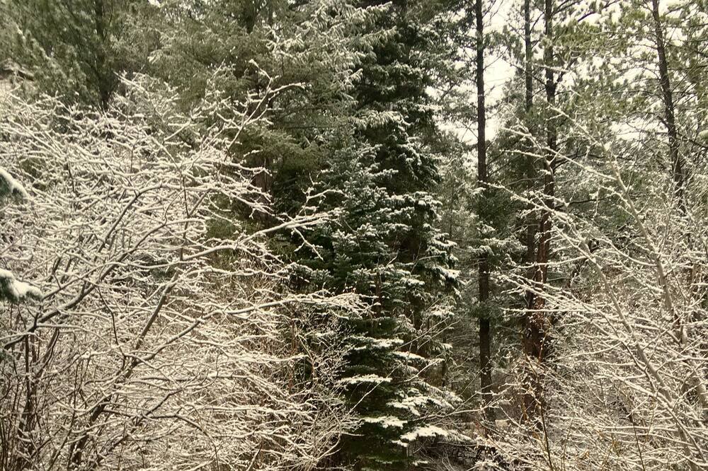 Photo of Others in Idaho Springs