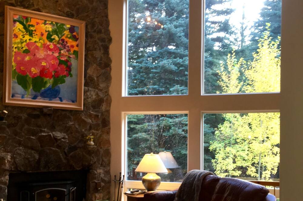 Photo of Livingroom in Idaho Springs