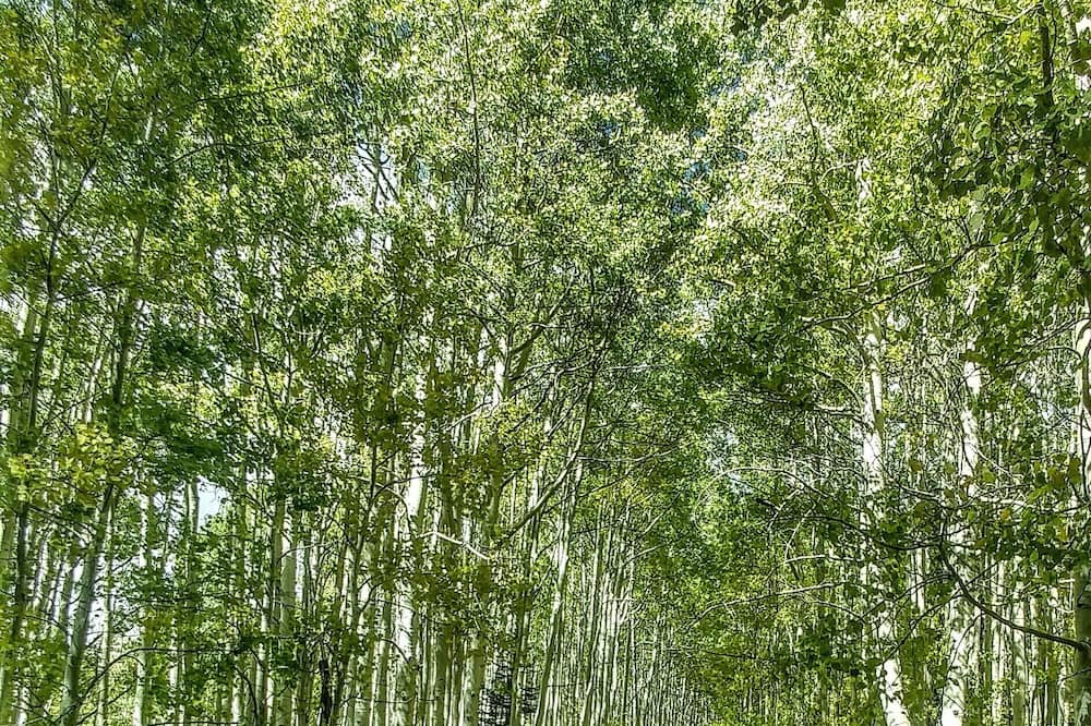 Photo of Outdoor in La Sal