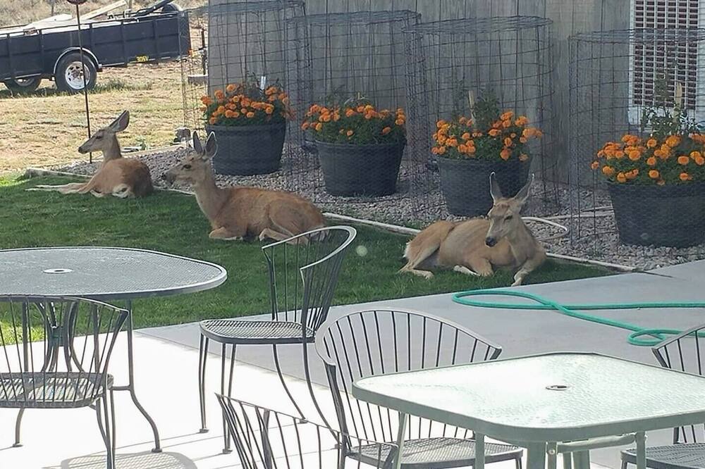 Photo of Others in La Sal