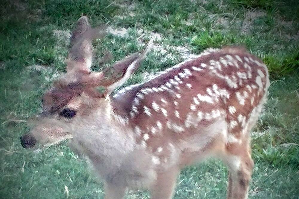 Photo of Others in La Sal