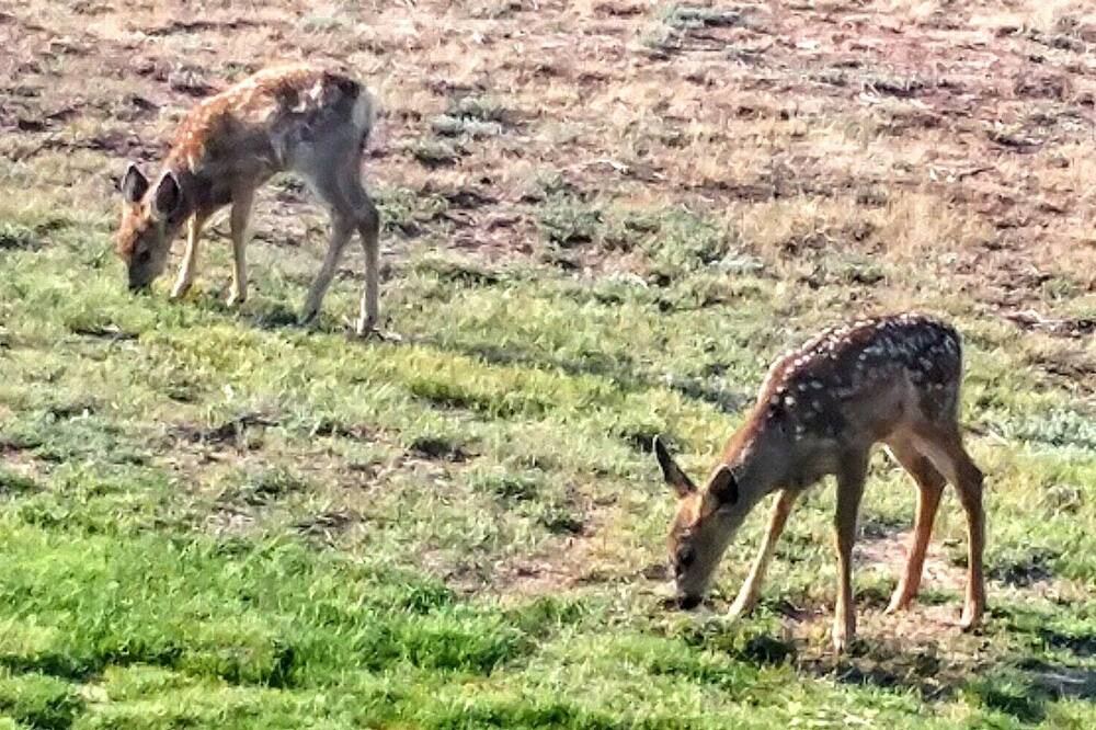 Photo of Others in La Sal