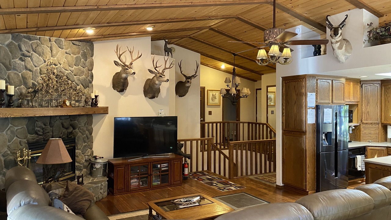 Photo of Livingroom in Lower Kingsbury