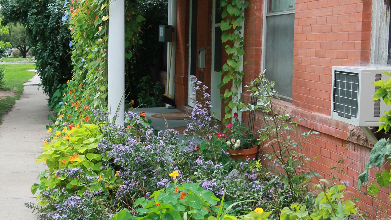 Photo of Outdoor in Central Boulder