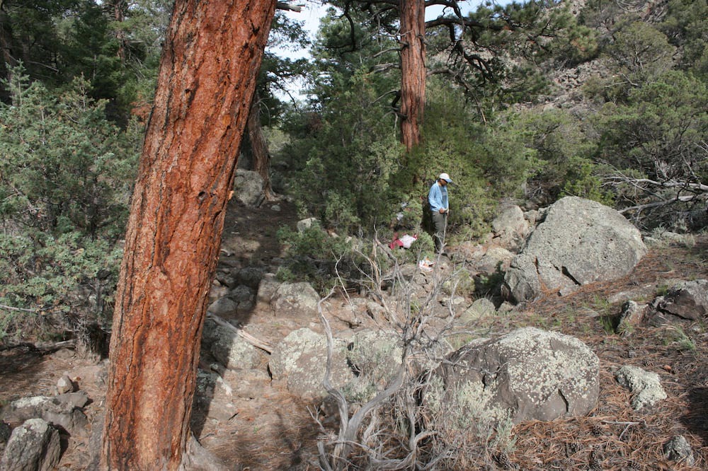 Photo of Outdoor in San Luis