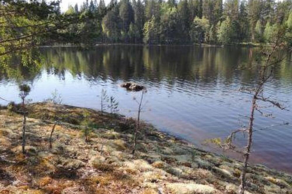 Photo of Outdoor in Koli National Park
