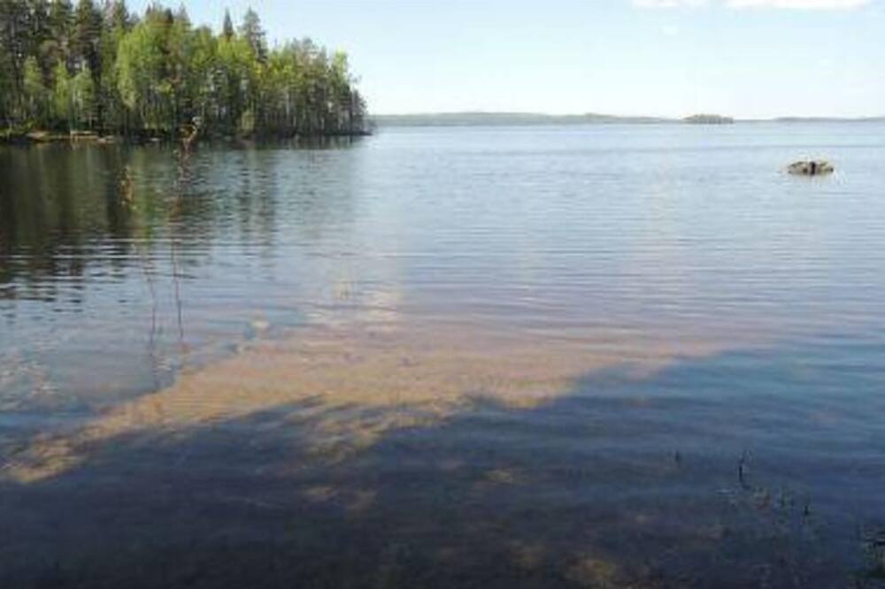 Photo of Others in Koli National Park