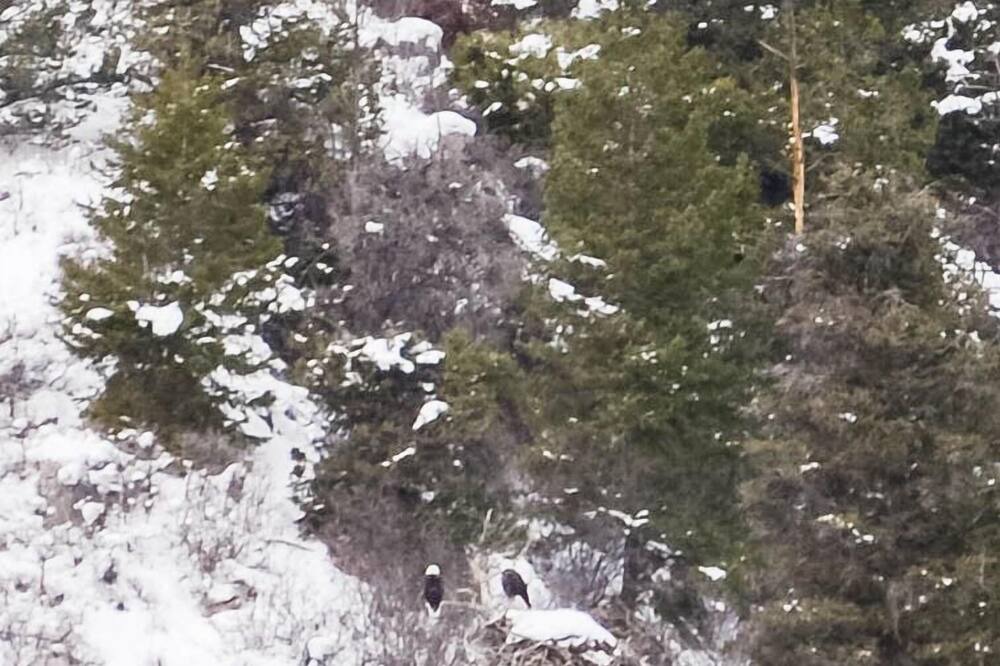 Photo of Outdoor in Gypsum