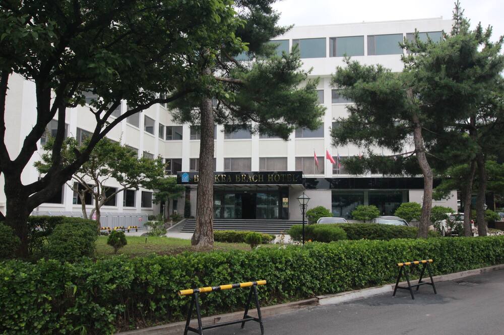 Photo of Outdoor in Gangneung