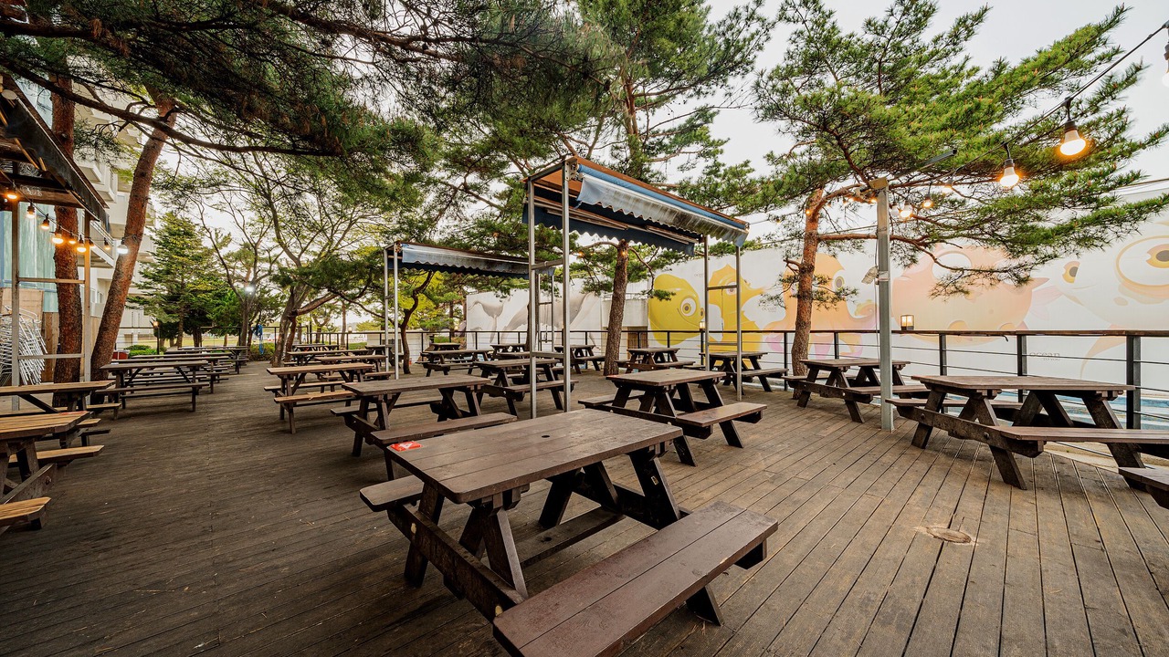 Photo of Outdoor in Goseong-gun