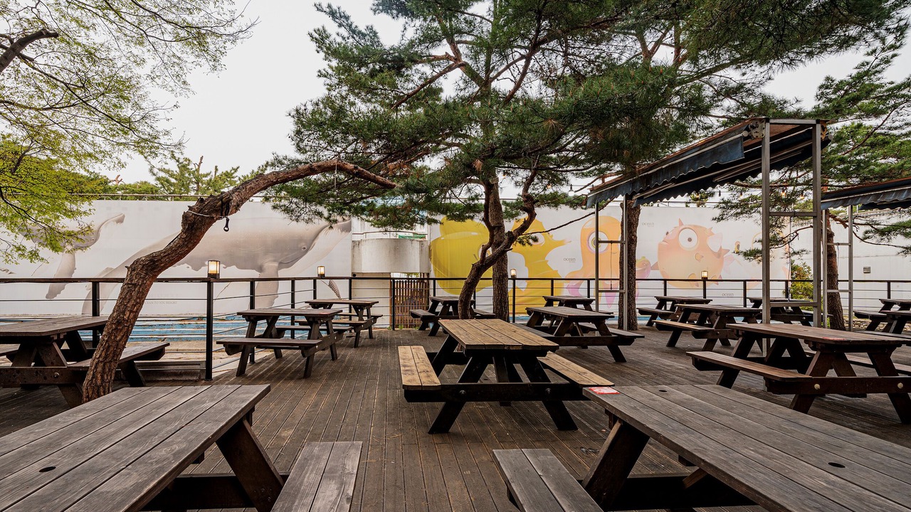 Photo of Outdoor in Goseong-gun