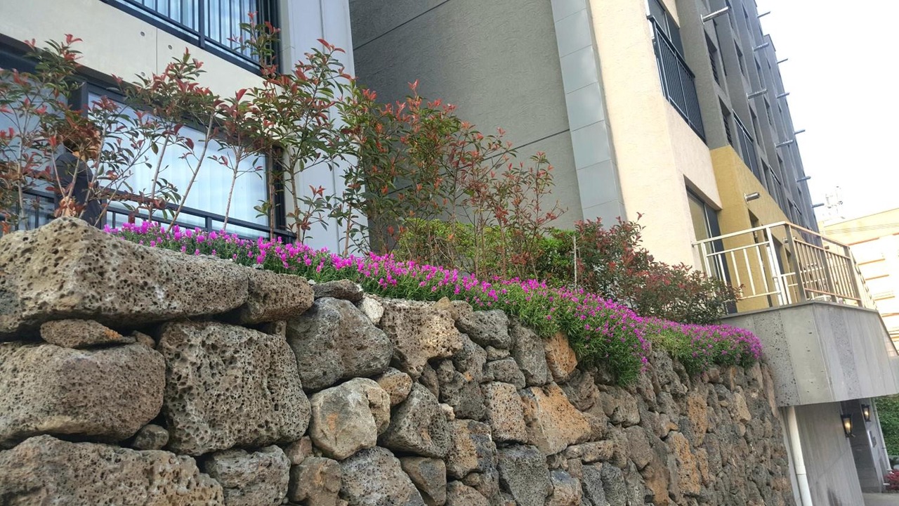 Photo of Outdoor in Jungmun