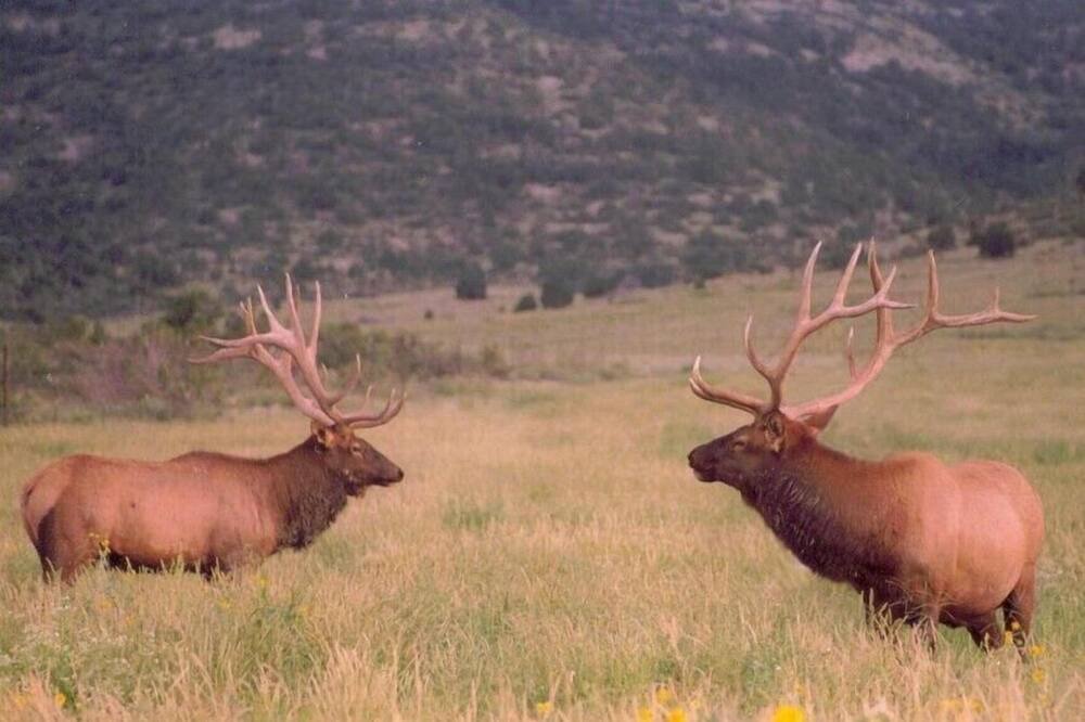 Photo of Others in Spring Valley