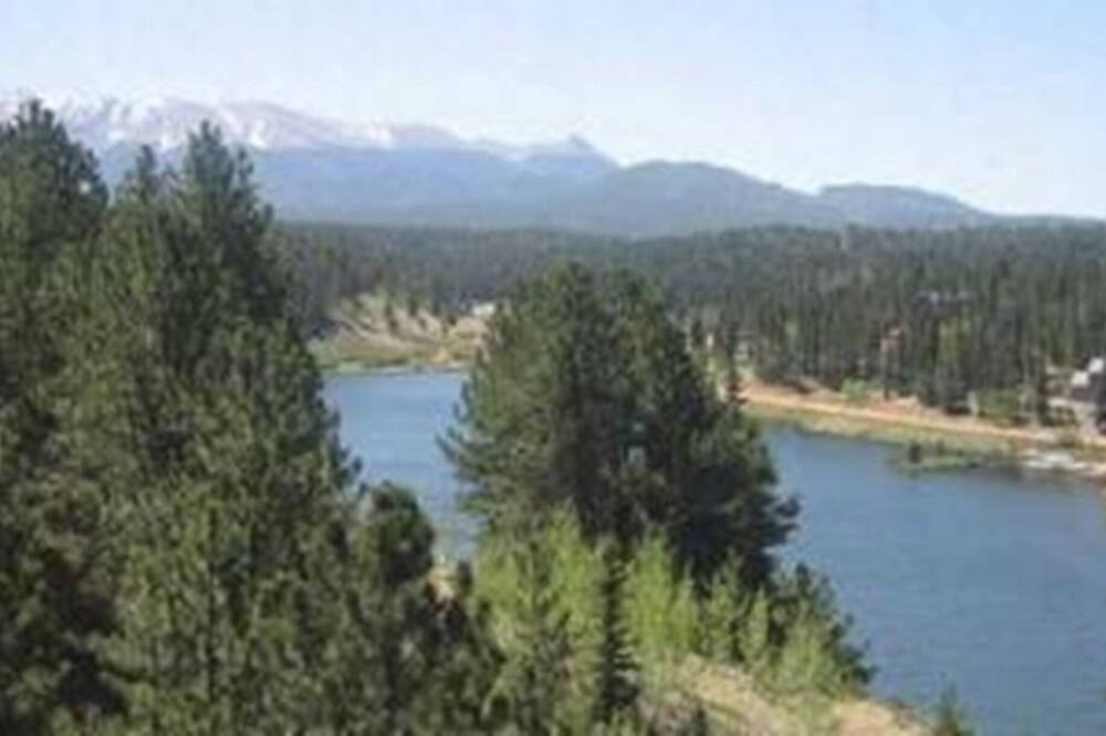 Photo of Others in Spring Valley