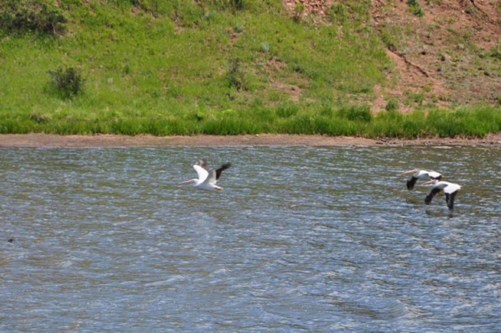 Photo of Others in Spring Valley