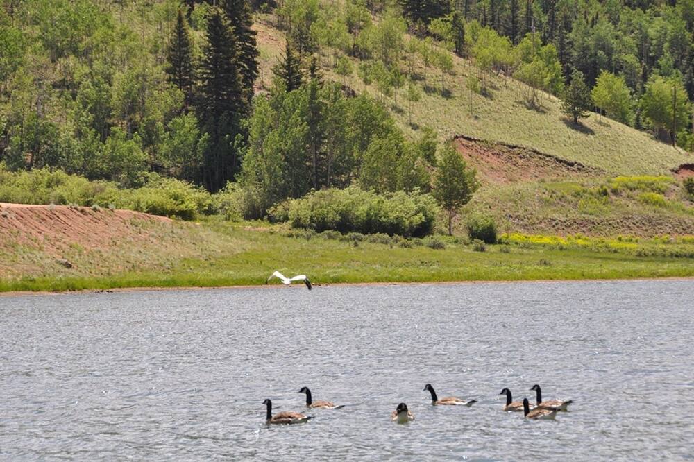 Photo of Others in Spring Valley
