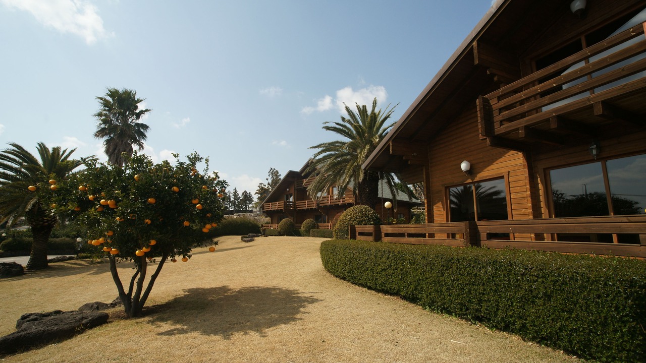 Photo of Outdoor in Jungmun