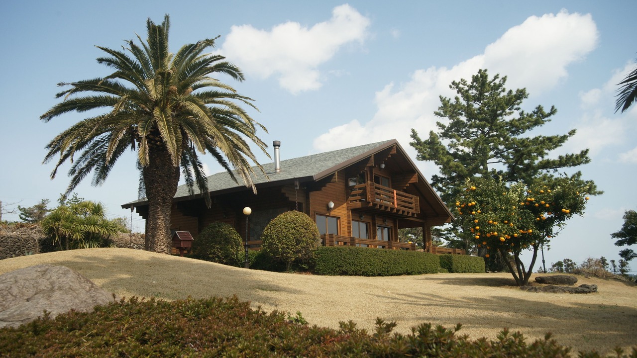 Photo of Outdoor in Jungmun