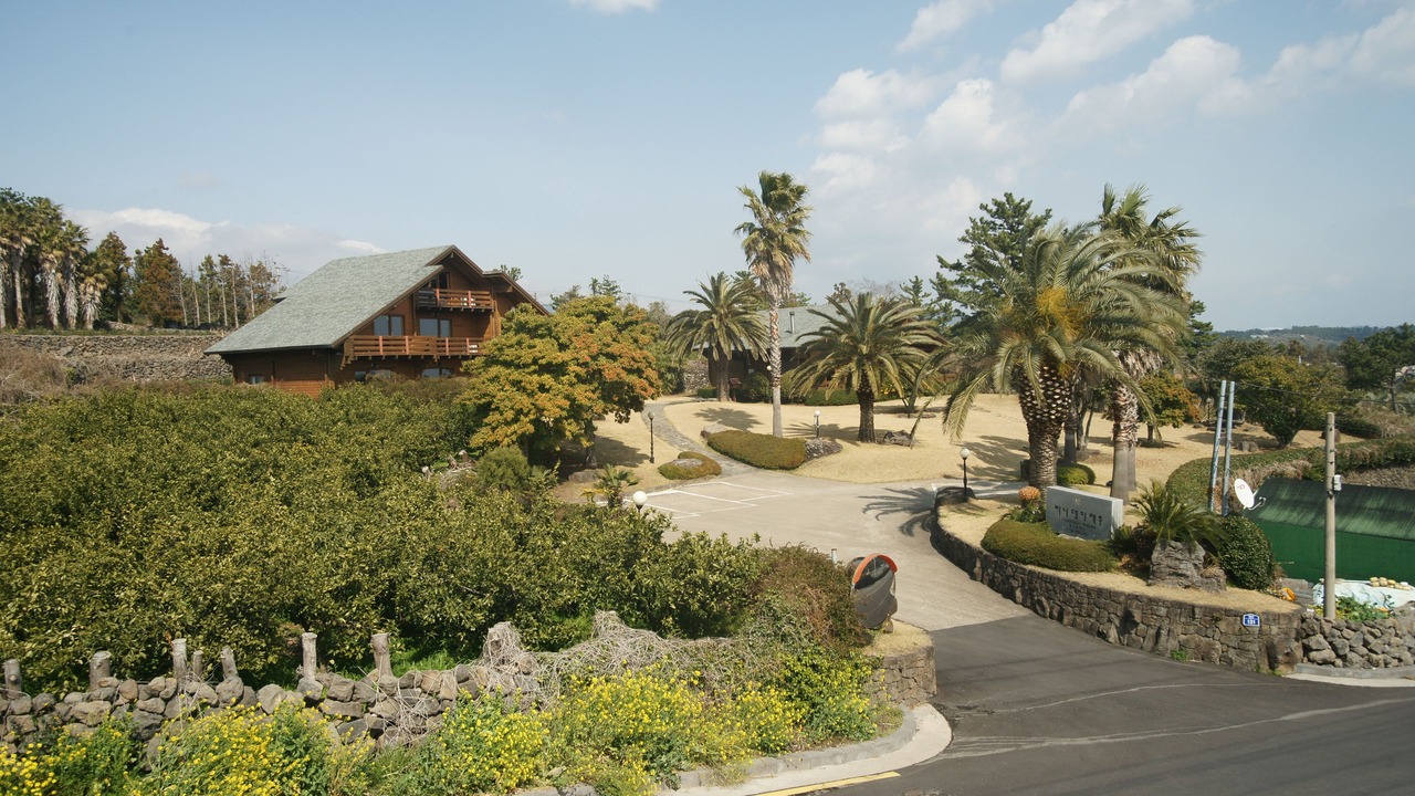Photo of Outdoor in Jungmun