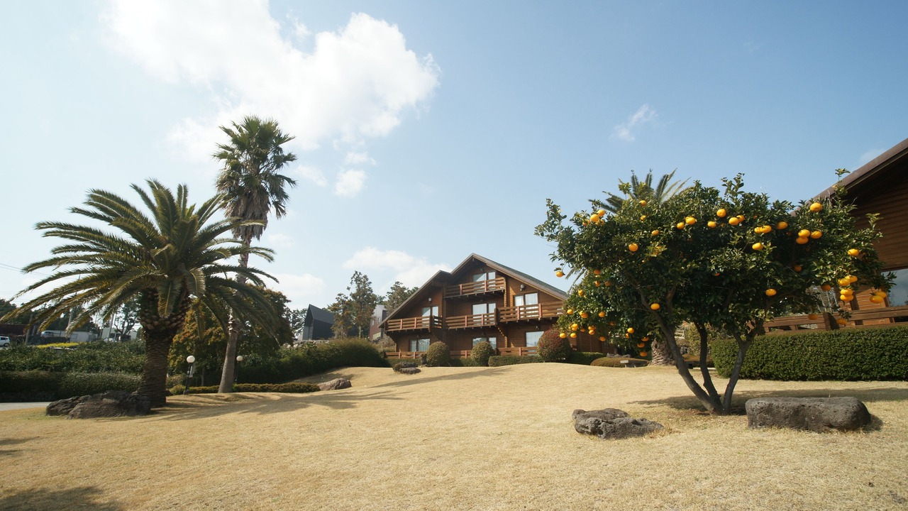 Photo of Outdoor in Jungmun