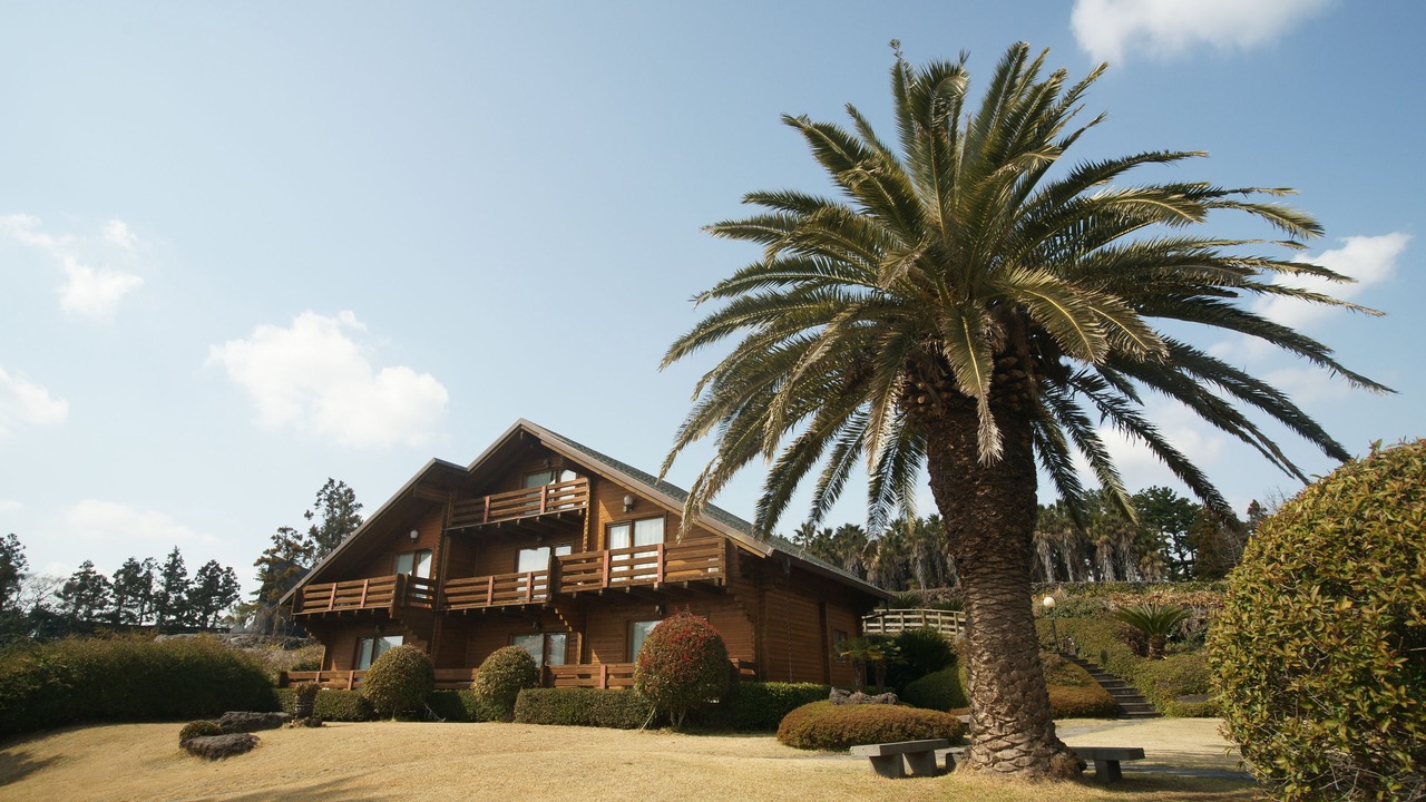 Photo of Outdoor in Jungmun