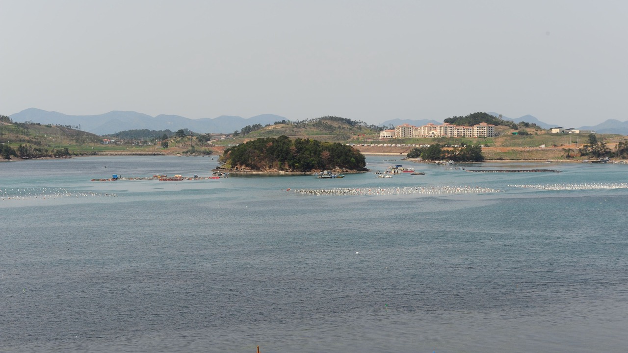 Photo of Outdoor in Dolsan-eup