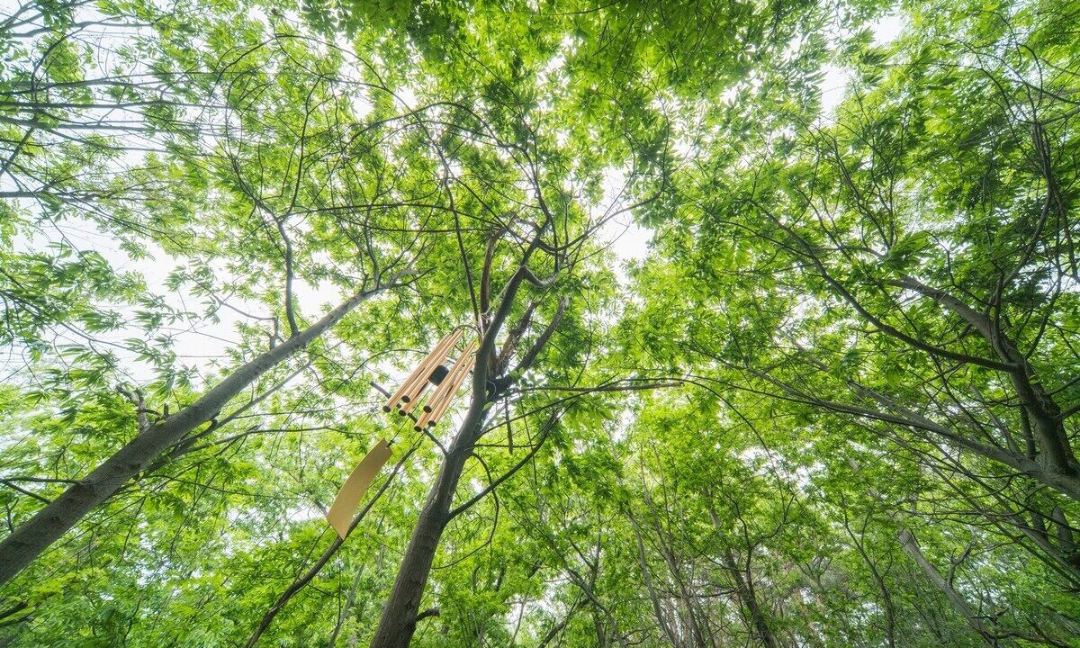 Photo of Outdoor in Yangyang