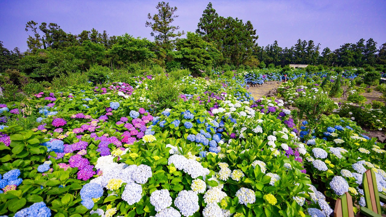 Photo of Outdoor in Jocheon