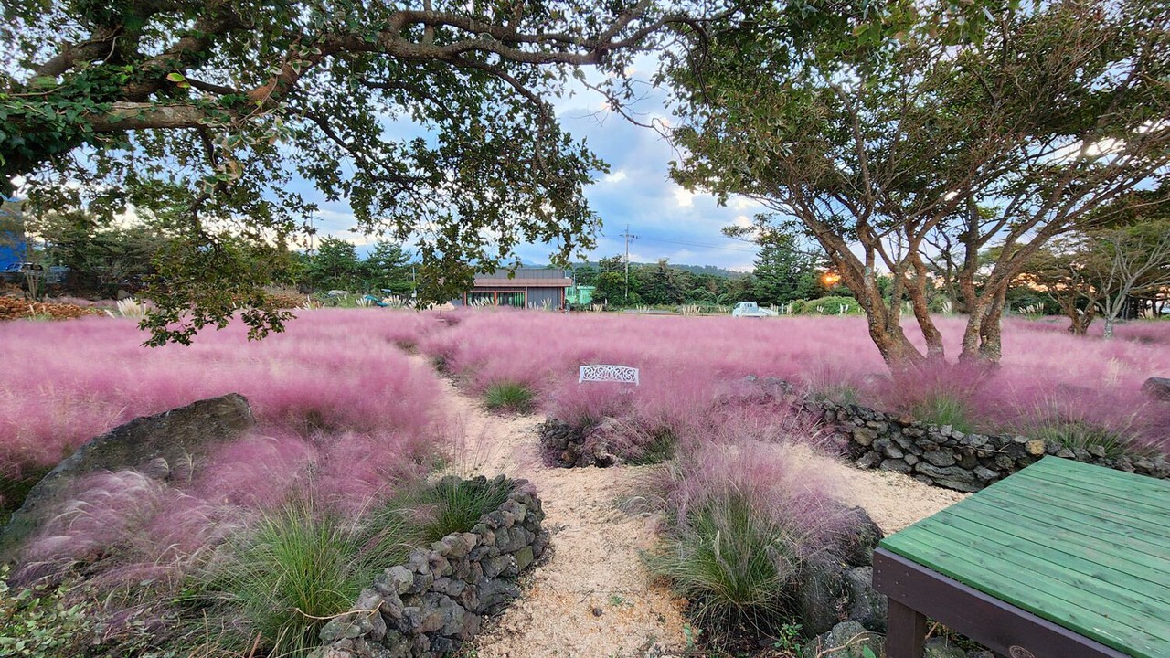 Photo of Outdoor in Jocheon