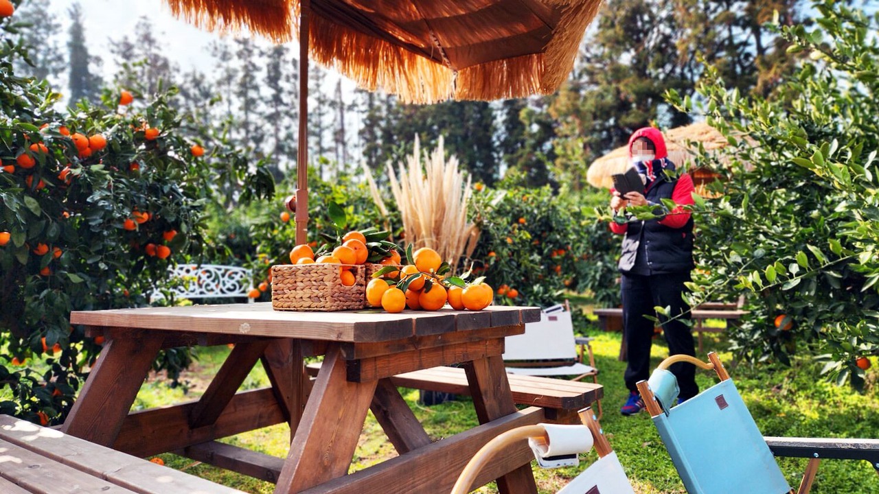 Photo of Outdoor in Jocheon