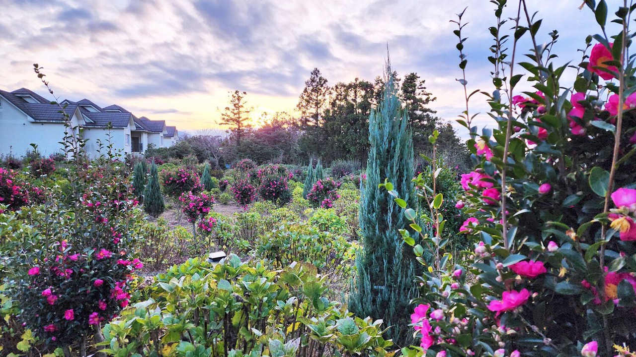 Photo of Outdoor in Jocheon
