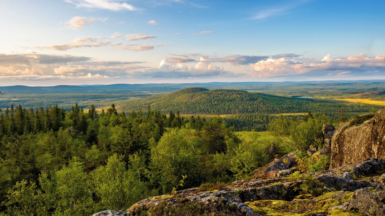 Photo of Outdoor in Syote