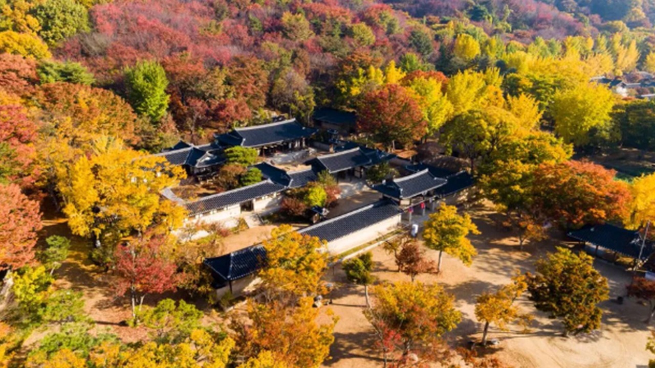 Photo of Outdoor in Dongtan