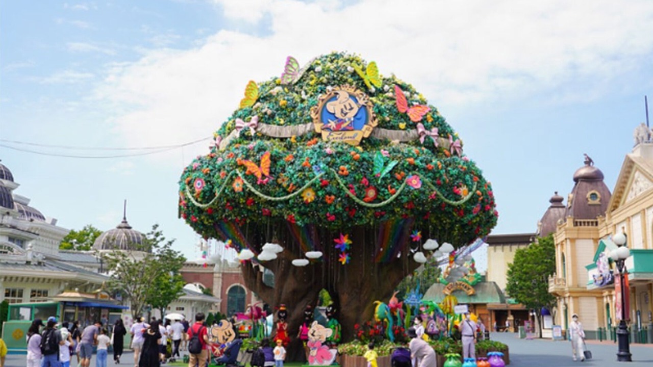 Photo of Outdoor in Dongtan
