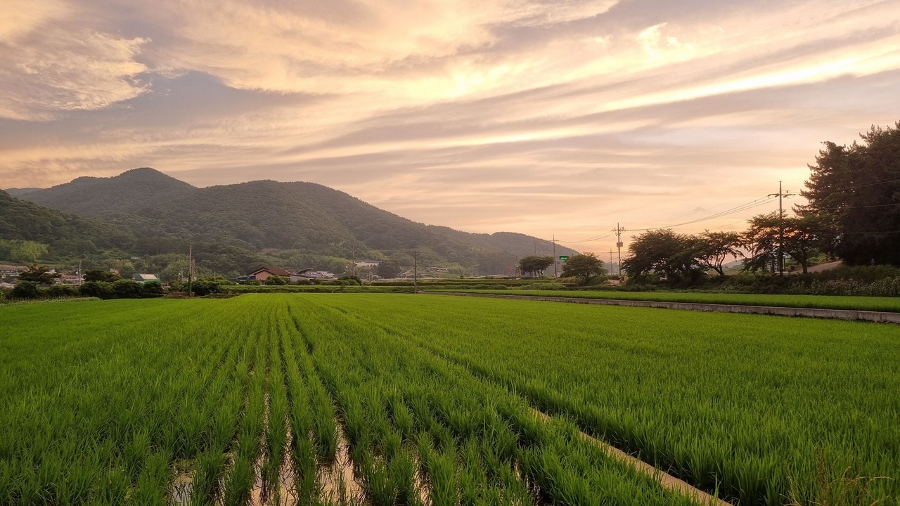 Photo of Others in Namhae